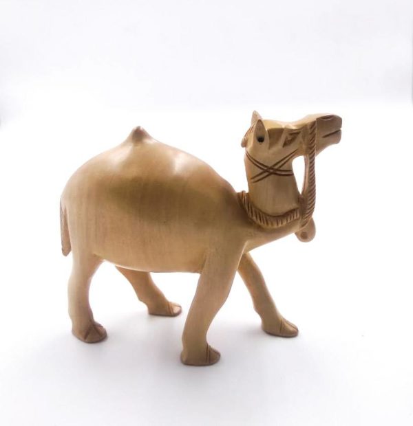 13A CAMEL PLAIN CARVING 3 TO 6 Inch